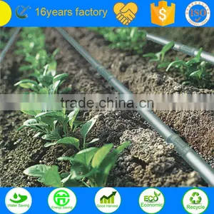 Agriculture Drip Irrigation Pipe thumbnail-3