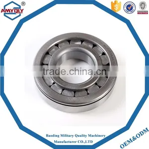 China Gold Supplier Eccentric Cylindrical Roller Bearings Rn307 Bearing thumbnail-1