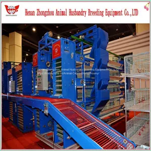 Professional Automatic Chicken Cage for Poultry Chicken Farm thumbnail-3