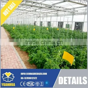 Vegetable Growing Intelligent Glass Green House thumbnail-1