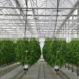 Agricultural Greenhouse thumbnail-2