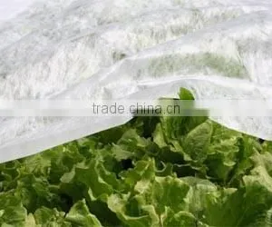 pp Nonwoven Fabric Winter Cover thumbnail-1