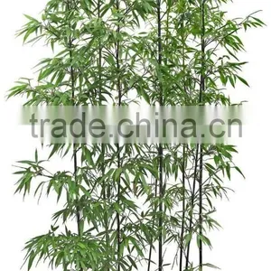 Artificial Lucky Bamboo Pole,real Trunk Bamboo Branches With Plastic Leaves thumbnail-1
