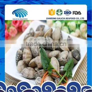 Frozen Vacuumed Short Necked Clam Size 11-20 thumbnail-1