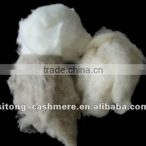 100% Dehaired Cashmere Fibre for Yarn Spinning thumbnail-1