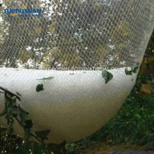 Low Price Fruit Tree Hail Protection Orchard Cover Netting for Gardens thumbnail-4