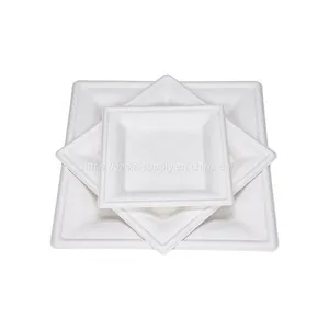 6'' 8''10'' Square Sugarcane Bagasse Plates China Supplier Wholesale Biodegradable Compostable Microwave and Freezer Safe thumbnail-3