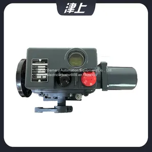 Bernard Intelligent Valve Controller BS-60/K30H Remote Control Electric Actuator thumbnail-5