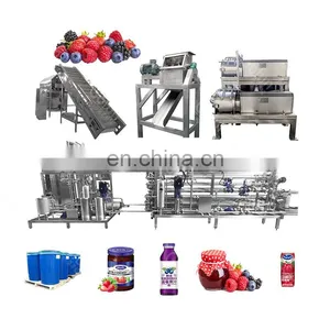 Industrial Fruit and Vegetable Jam Machine Production Line thumbnail-1