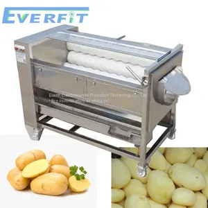 Small Potato Peeling Machine thumbnail-1