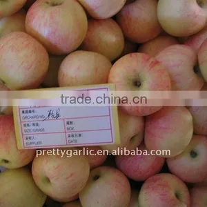 Gala Apple 2011 Crop thumbnail-1