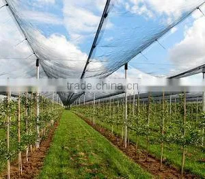 Anti-hail Net thumbnail-1