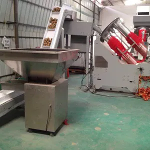 China Factory Net Bag Packing Machine Citrus Package Machine thumbnail-4