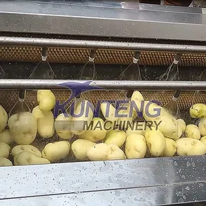 Commercial Fresh Ginger Washing and Peeling Machine Vegetable Washers Shell Fish Carrot Dates Potato Cleaning Machine EPC thumbnail-4