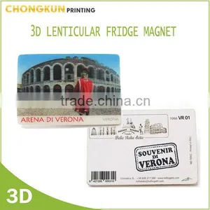 3d Lenticular Fridge Magnet, Custom Souvenir Fridge Magnet thumbnail-4