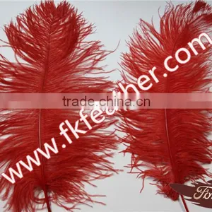 Dyed Ostrich Feather Large Red Craft Ostrich Feather Cheap Wedding Decorations thumbnail-6