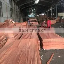 Shandong Annydar Wood Industrial Co., Ltd. company overview - view 2 thumbnail