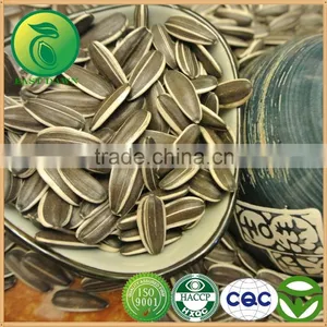Confectionery Sunflower Seeds With Good Price thumbnail-1