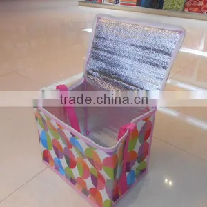 PP Non Woven Recreational Wine Cooler Plastic Bag thumbnail-4