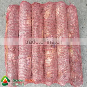 Decent Price Newest Wholesale Chaga Mushroom thumbnail-4