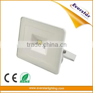 Everstar CE/RoHS IP65 30W 2400LM Cheap LED SMD Floodlight thumbnail-2