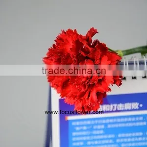 Decoration Weddings High Quality Carnation With Good Packaging Superbly Natural Carnation Flowers thumbnail-3