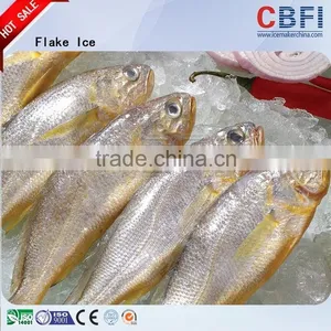 Best Quality Flake Ice Machinery For Morocco thumbnail-6