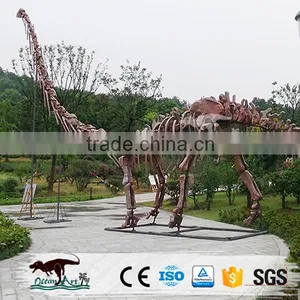 OA4082 High Quality Fossils Dinosaur thumbnail-5
