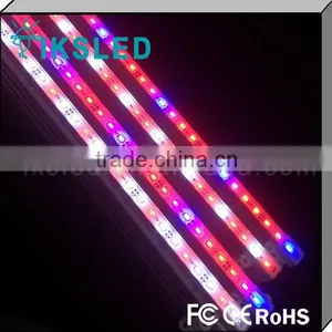 Light Aquarium Plants DC12V/24V IP68 Underwater Led Strip thumbnail-2