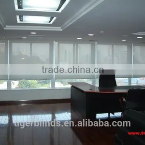 Outdoor Motorized Roller Blinds thumbnail-1
