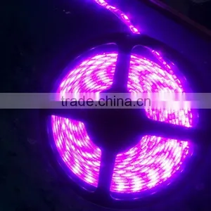 12V 5050 Full Color Led Strip Light With 20pixels per Meter 3leds Cuttable thumbnail-2