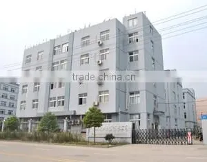 Zhonglian Electric-Sound Musical Instrument Co., Ltd. company overview - view 1 thumbnail