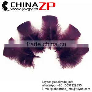 ZPDECOR Colored Plumage Bulk Sale Dyed Plum Turkey T-Base Body Feather for Parties Decorations thumbnail-1
