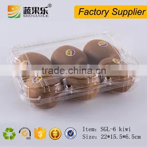 Best Price Plastic 6 Kiwi Fruit Clamshell Punnet thumbnail-4