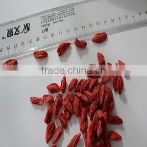 NingXia Dried Fresh Red Goji Berry Golden Supplier thumbnail-2