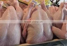 FRESH FROZEN CHICKEN thumbnail-2