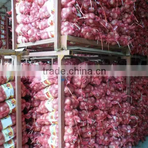 Fresh Red Onions,High Quality,Competitive Price thumbnail-1