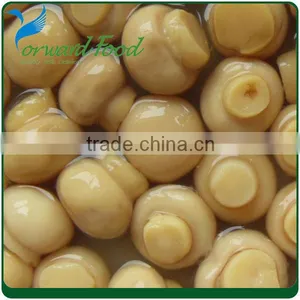 212ml Best Canned Marinated Mushrooms in Glass Jars thumbnail-1