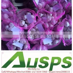 Fresh Chinese 3p Pure White Garlic thumbnail-5