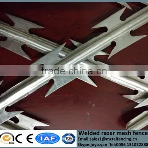 Farm Used Sharp BTO Type Concertina Mesh Fences High Security Metal Edge Barriers Welded Razor Wire Fencing thumbnail-3