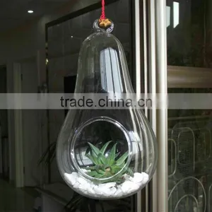 Wholesale Clear Pear Shape Glass Vase Landscape Bottle Hanging thumbnail-2