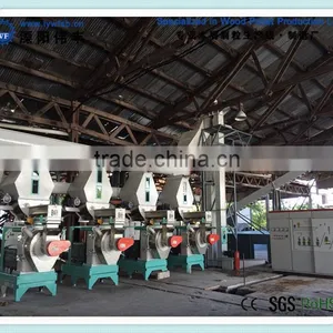Complete Wood Pellet Plant Prouduction Lines 2 - 4tons in Hour thumbnail-1