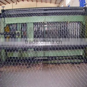 Hot Dipped, Electro Galvanized and Pvc Coated Woven Gabion Mesh thumbnail-1