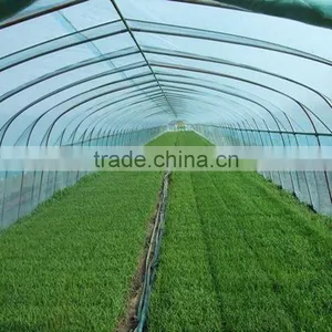 Economical Multi-span Greenhouse For Agriculture Polycarbonate Sheet thumbnail-5