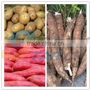 Stainless Steel Carbon Steel Sweet Potato Grain Processing Machine thumbnail-1