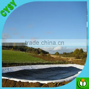 Wholesale 0.5mm-3mm Plastic Geomembrane Fish Farm Pond Liner and Dam Liner thumbnail-4