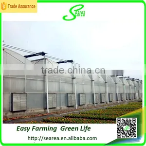 Hot Sale Agriculture Polycarbonate Greenhouse Shade Green House Design thumbnail-1