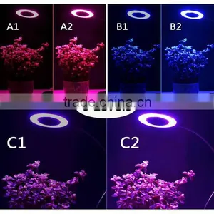 Led Grow Light for Indoor Plants 10W Adjustable 6 Level Dimmable Clip Desk Lamp With 360 Degree Flexible Gooseneck thumbnail-5