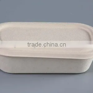 Biodegradable 1000ml Sugarcane Food Container With Separate Lid thumbnail-2