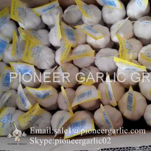 New Crop Fresh Chinese Pure White Garlic (5.0cm, 5.5cm, 6.0cm)Box Packing thumbnail-2